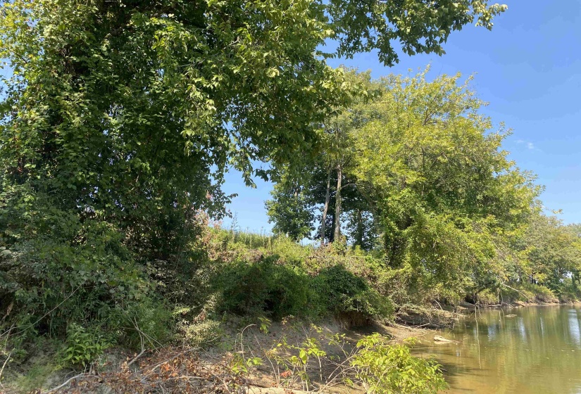 1114 LAUNCH RAMP CV, Savannah, Tennessee 38372, ,Land,For Sale,LAUNCH RAMP,10180283