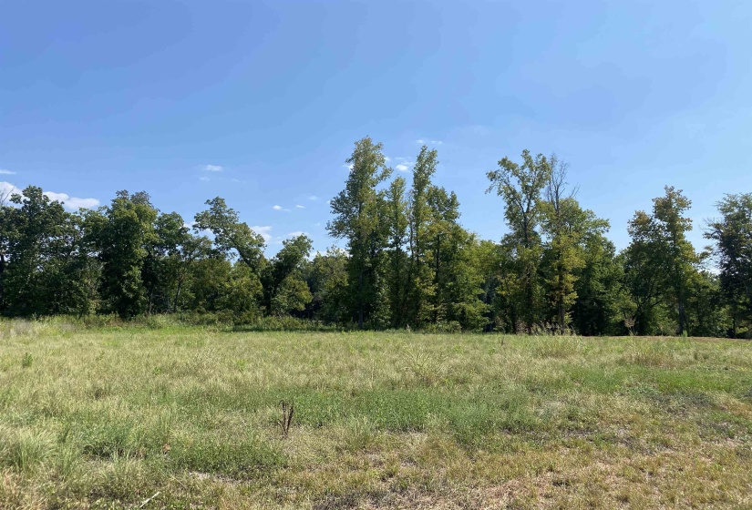 1114 LAUNCH RAMP CV, Savannah, Tennessee 38372, ,Land,For Sale,LAUNCH RAMP,10180283