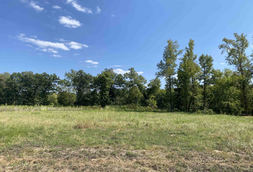 1114 LAUNCH RAMP CV, Savannah, Tennessee 38372, ,Land,For Sale,LAUNCH RAMP,10180283