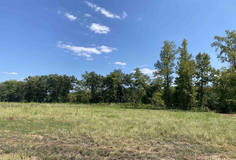 1114 LAUNCH RAMP CV, Savannah, Tennessee 38372, ,Land,For Sale,LAUNCH RAMP,10180283