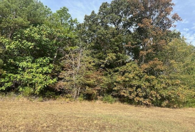View of nature