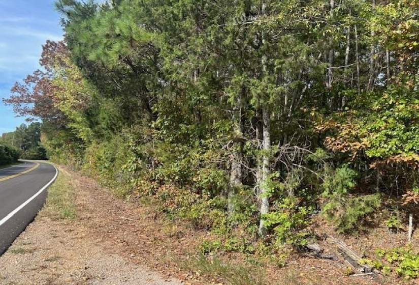 View of road