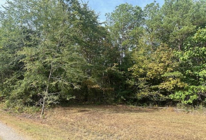 View of landscape