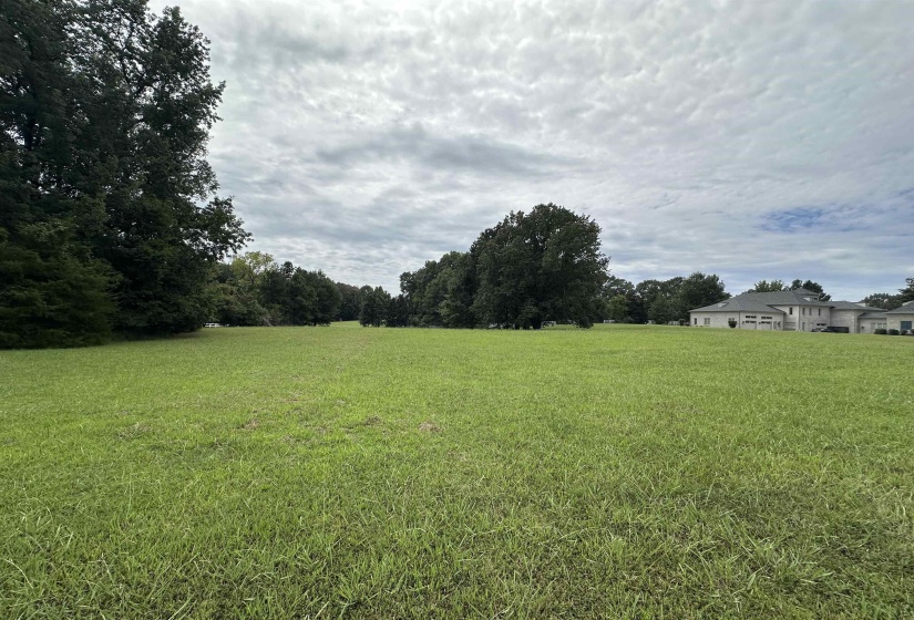 530 LEXINGTON MANOR LN, Eads, Tennessee 38028, ,Land,For Sale,LEXINGTON MANOR,10180598