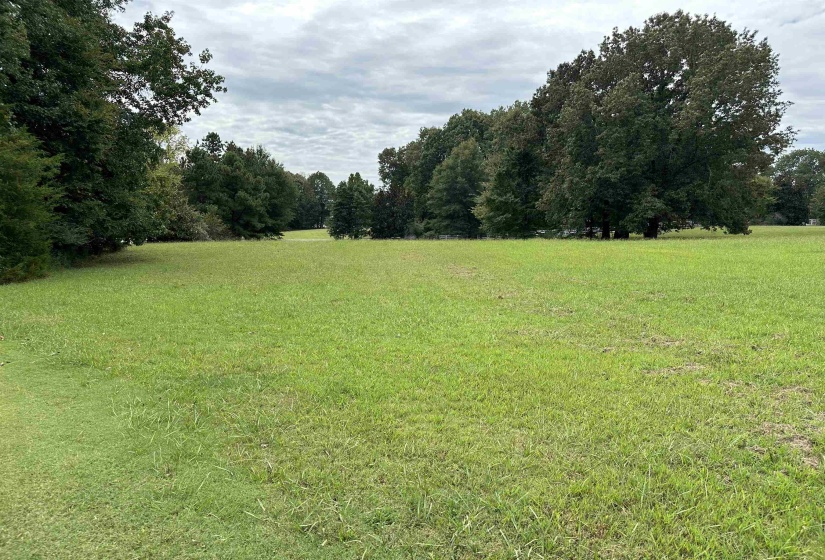530 LEXINGTON MANOR LN, Eads, Tennessee 38028, ,Land,For Sale,LEXINGTON MANOR,10180598