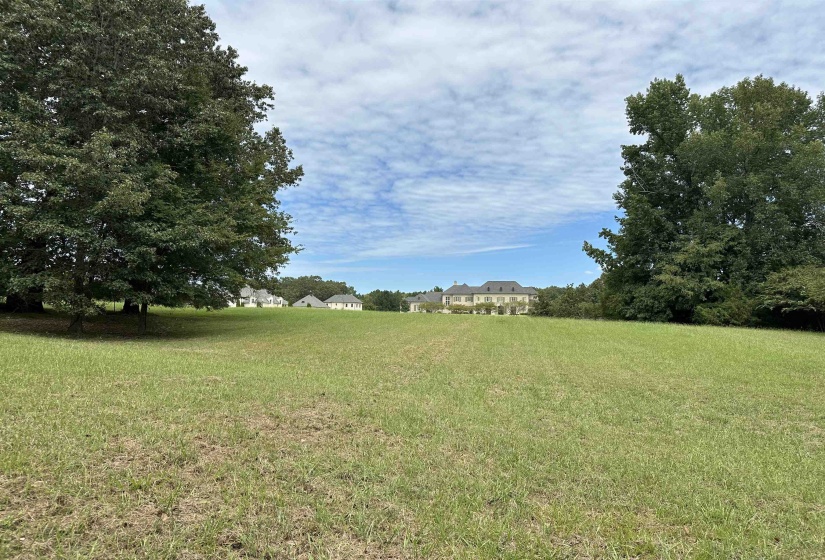 530 LEXINGTON MANOR LN, Eads, Tennessee 38028, ,Land,For Sale,LEXINGTON MANOR,10180598