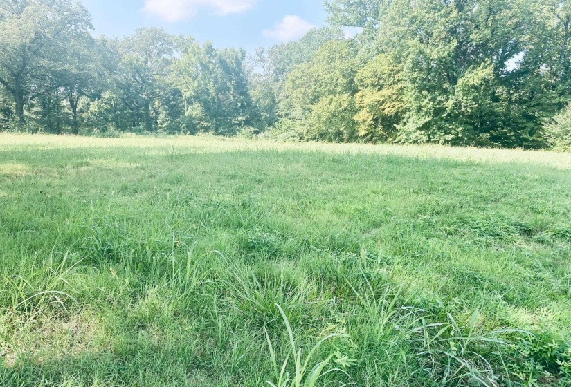 1163 RAINES RD, Memphis, Tennessee 38109, ,Land,For Sale,RAINES,10180615