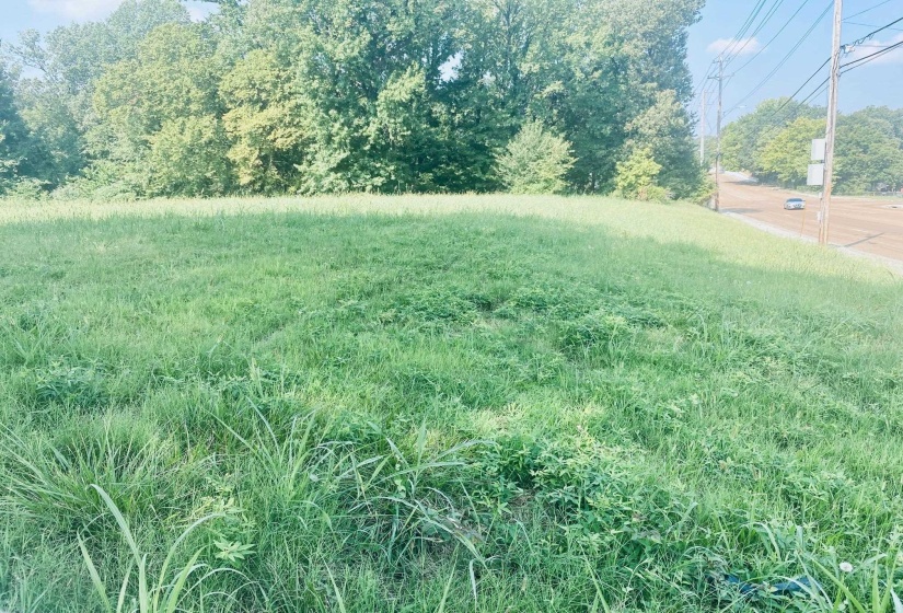 1163 RAINES RD, Memphis, Tennessee 38109, ,Land,For Sale,RAINES,10180615