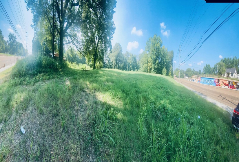 1163 RAINES RD, Memphis, Tennessee 38109, ,Land,For Sale,RAINES,10180615