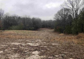 1698 PISGAH RD, Unicorp/Memphis, Tennessee 38028, ,Land,For Sale,PISGAH,10180642