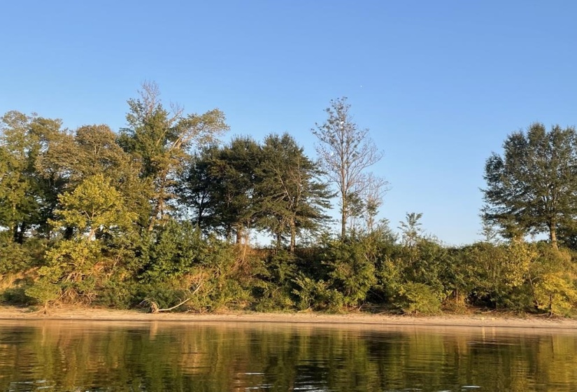 LOT 4 CADEN CV, Savannah, Tennessee 38372, ,Land,For Sale,CADEN,10180834