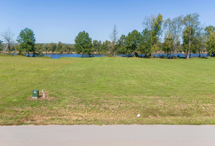 LOT 4 CADEN CV, Savannah, Tennessee 38372, ,Land,For Sale,CADEN,10180834