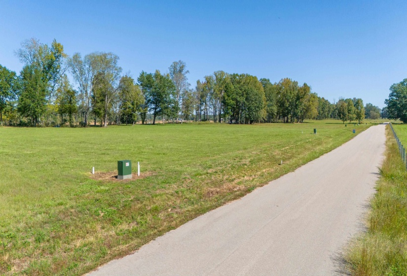 LOT 4 CADEN CV, Savannah, Tennessee 38372, ,Land,For Sale,CADEN,10180834
