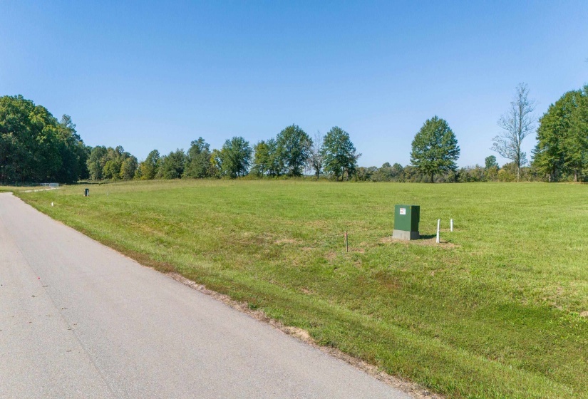 LOT 4 CADEN CV, Savannah, Tennessee 38372, ,Land,For Sale,CADEN,10180834