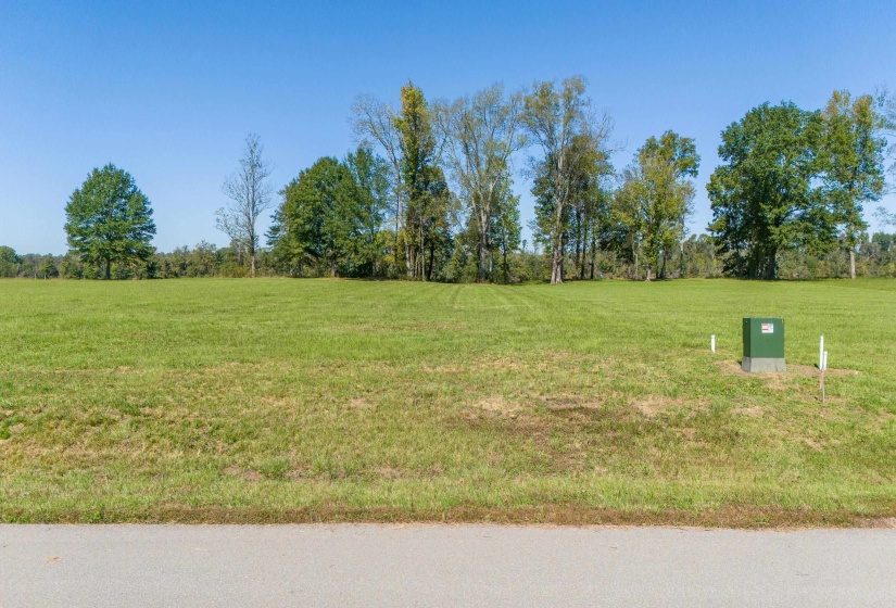 LOT 4 CADEN CV, Savannah, Tennessee 38372, ,Land,For Sale,CADEN,10180834