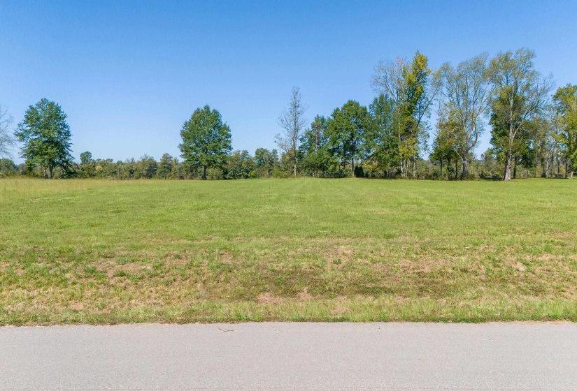 LOT 4 CADEN CV, Savannah, Tennessee 38372, ,Land,For Sale,CADEN,10180834