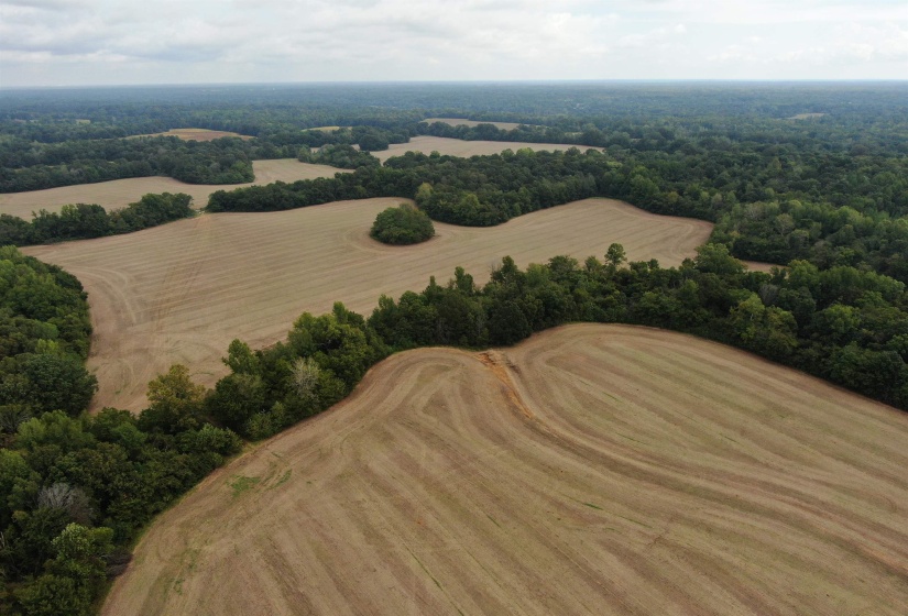 Birds eye view of property with a rural view