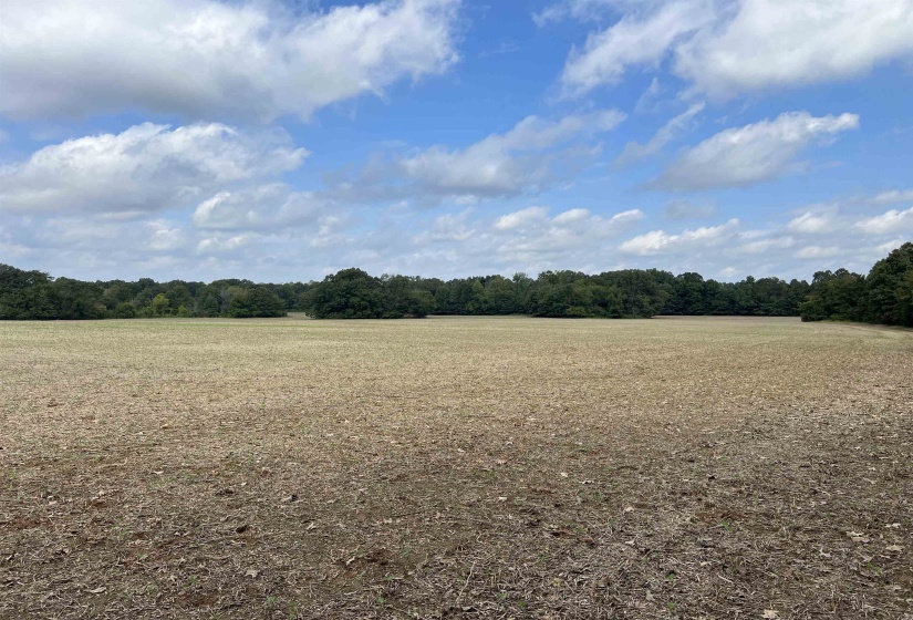 View of nature with a rural view