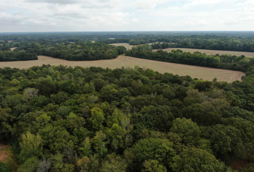 Aerial view featuring a rural view