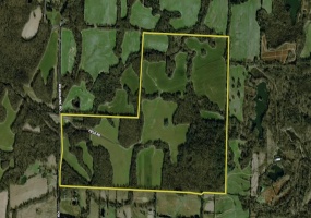 0 WILBOURNE RD, Oakland, Tennessee 38060, ,Land,For Sale,WILBOURNE,10181268