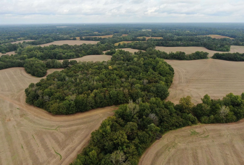 Aerial view featuring a rural view