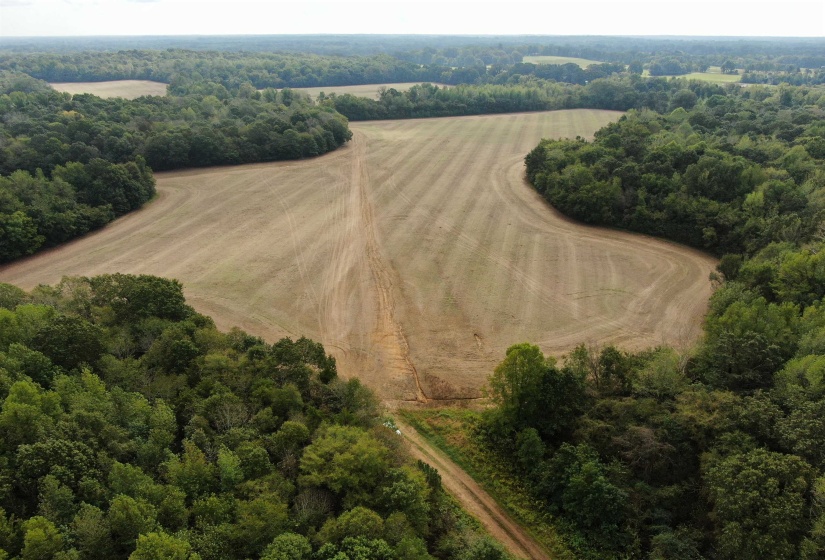 Birds eye view of property with a rural view