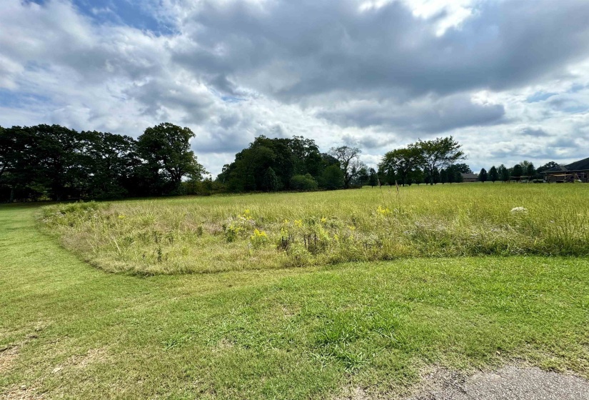 View of local wilderness featuring a rural view