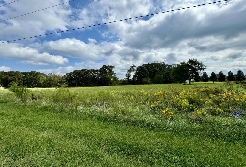 View of local wilderness with a rural view