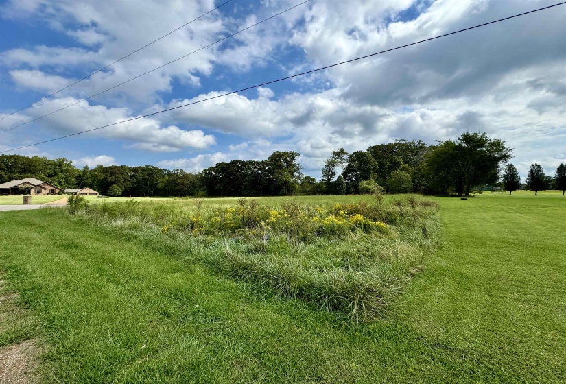 View of yard with a rural view