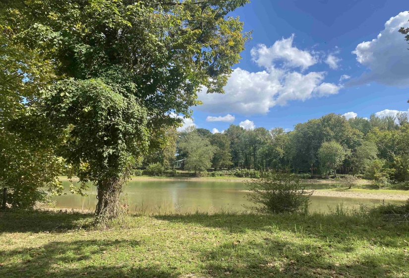 0 HARRY TERRY DR, Savannah, Tennessee 38372, ,Land,For Sale,HARRY TERRY,10182027