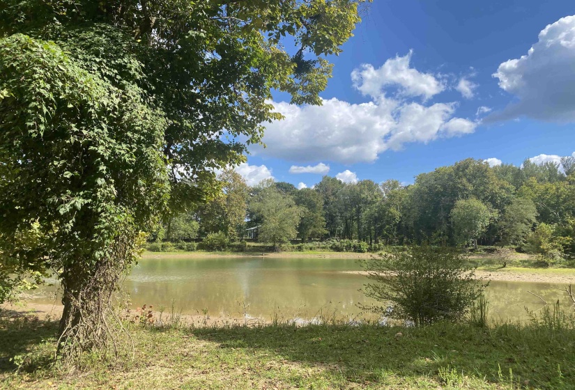 0 HARRY TERRY DR, Savannah, Tennessee 38372, ,Land,For Sale,HARRY TERRY,10182027
