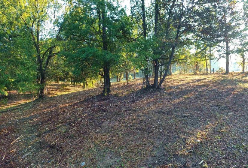 0 WILDFLOWER RIDGE LN, Savannah, Tennessee 38372, ,Land,For Sale,WILDFLOWER RIDGE,10182071