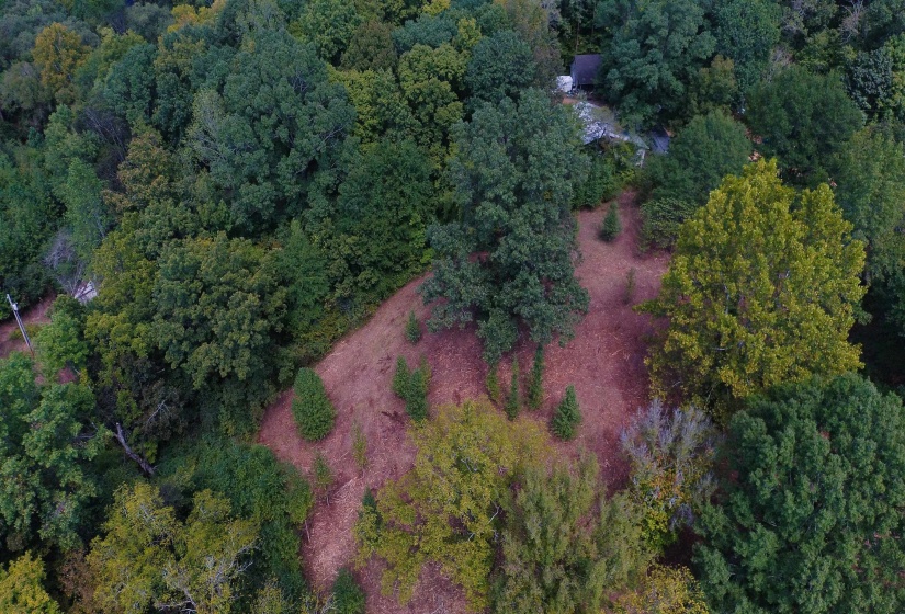 0 WILDFLOWER RIDGE LN, Savannah, Tennessee 38372, ,Land,For Sale,WILDFLOWER RIDGE,10182071