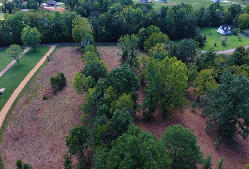 0 WILDFLOWER RIDGE LN, Savannah, Tennessee 38372, ,Land,For Sale,WILDFLOWER RIDGE,10182071