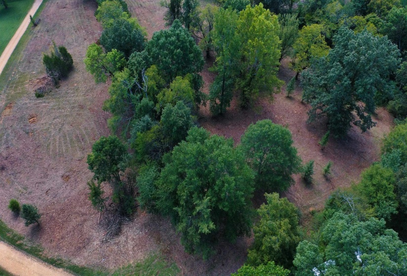 0 WILDFLOWER RIDGE LN, Savannah, Tennessee 38372, ,Land,For Sale,WILDFLOWER RIDGE,10182071