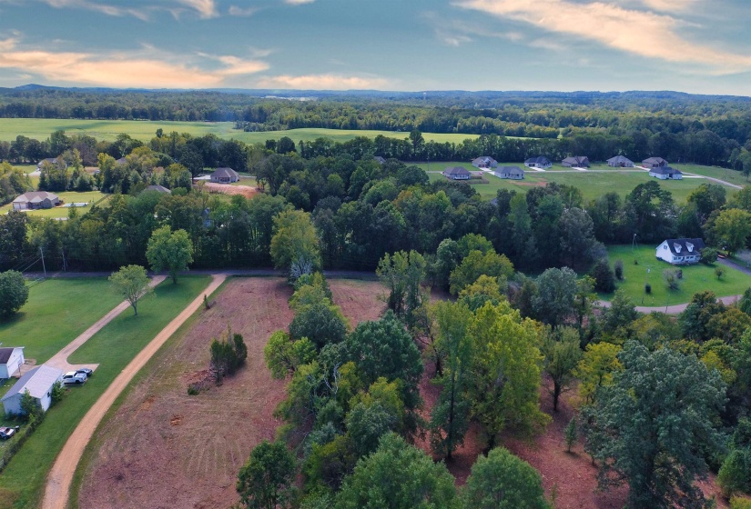 0 WILDFLOWER RIDGE LN, Savannah, Tennessee 38372, ,Land,For Sale,WILDFLOWER RIDGE,10182071