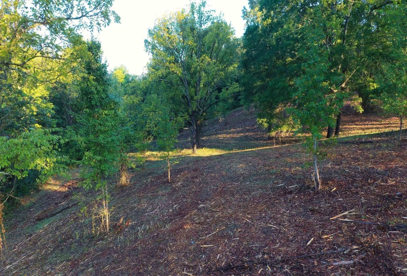 0 WILDFLOWER RIDGE LN, Savannah, Tennessee 38372, ,Land,For Sale,WILDFLOWER RIDGE,10182071
