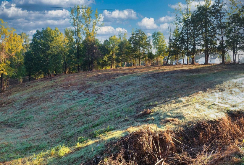 0 WILDFLOWER RIDGE LN, Savannah, Tennessee 38372, ,Land,For Sale,WILDFLOWER RIDGE,10182071