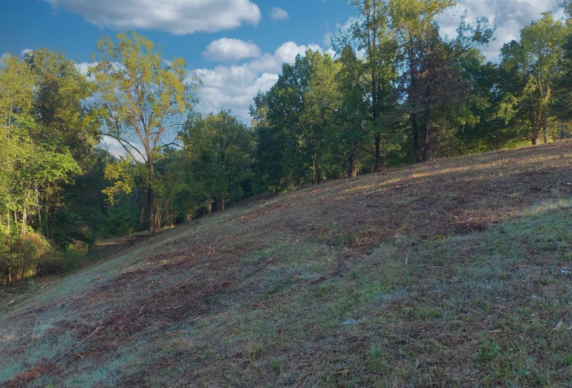 0 WILDFLOWER RIDGE LN, Savannah, Tennessee 38372, ,Land,For Sale,WILDFLOWER RIDGE,10182071
