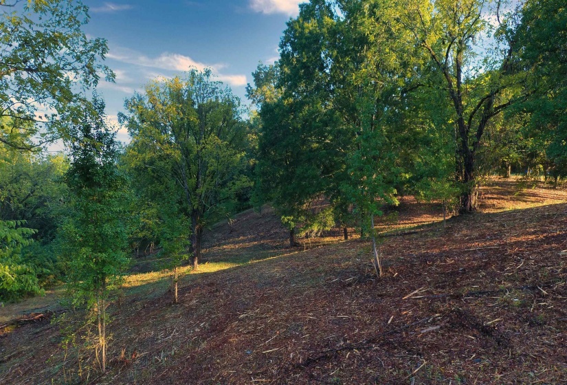 0 WILDFLOWER RIDGE LN, Savannah, Tennessee 38372, ,Land,For Sale,WILDFLOWER RIDGE,10182071