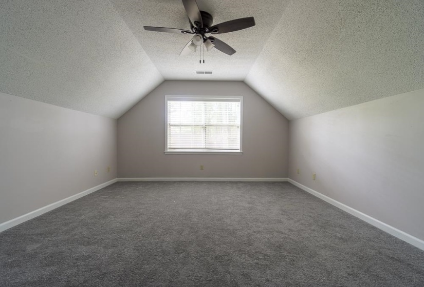 Bonus room or 5th bedroom with new carpet.