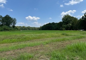 MEADOW OAKS LN, Bolivar, Tennessee 38008, ,Land,For Sale,MEADOW OAKS,10182550