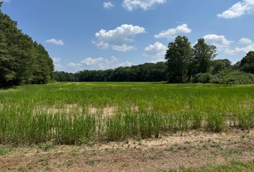 MEADOW OAKS LN, Bolivar, Tennessee 38008, ,Land,For Sale,MEADOW OAKS,10182550