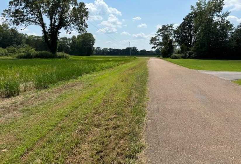 View of street