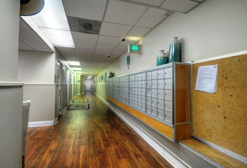Hallway featuring mail boxes, dark hardwood / wood-style floors, and a paneled ceiling