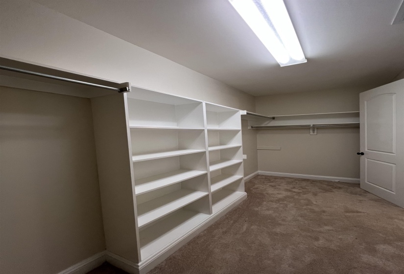 Spacious closet featuring carpet