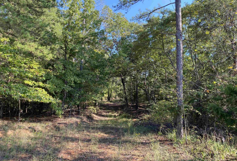 535 MEGAN LN, Savannah, Tennessee 38372, ,Land,For Sale,MEGAN,10182841