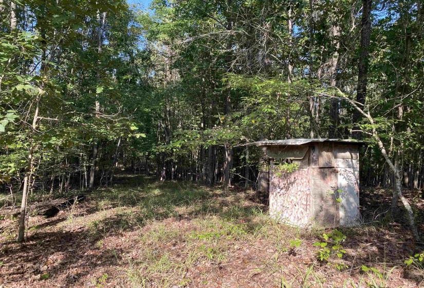 535 MEGAN LN, Savannah, Tennessee 38372, ,Land,For Sale,MEGAN,10182841