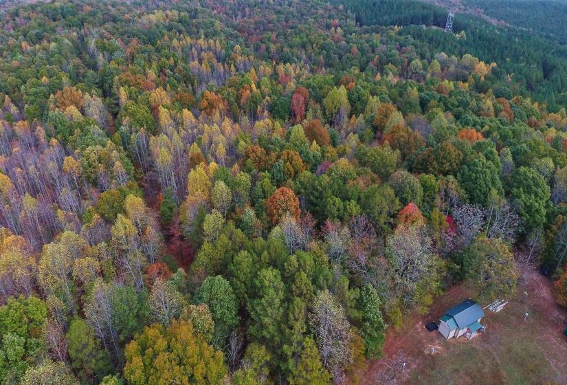 535 MEGAN LN, Savannah, Tennessee 38372, ,Land,For Sale,MEGAN,10182841
