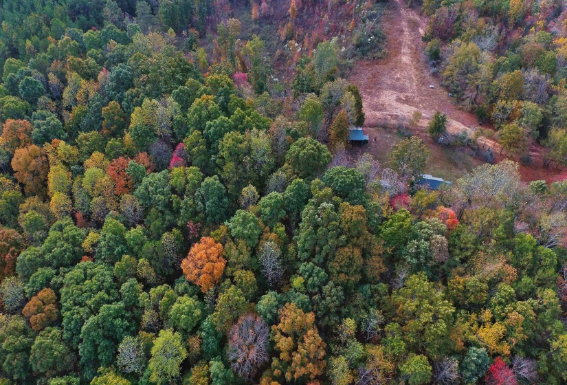 535 MEGAN LN, Savannah, Tennessee 38372, ,Land,For Sale,MEGAN,10182841